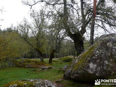 Lagunas de Neila;rutas en madrid sierra oeste de madrid senderismo singles